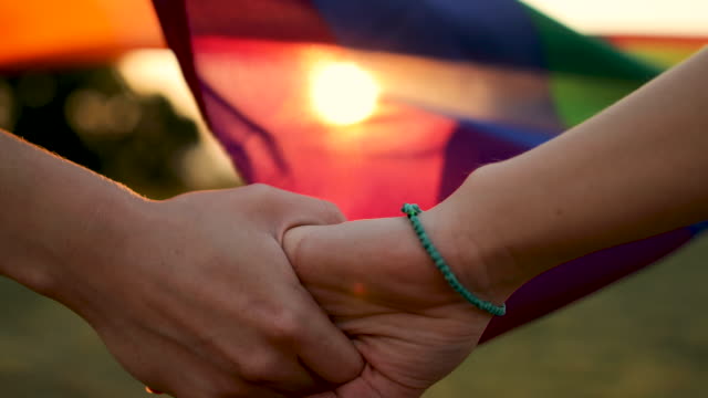 Two women, young homosexual couple by the rainbow flag, holding hands, part of in sunset