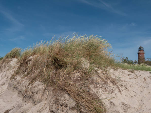 istock lighthouse at the baltic sea in germany 1265052427