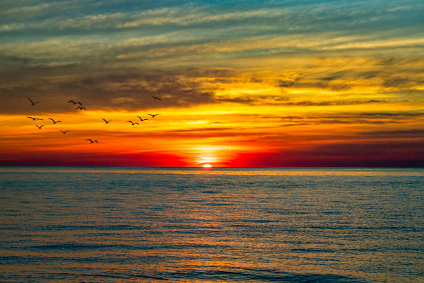 istock West Port Bay Sunset 1265052627