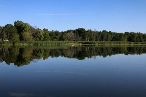 istock River Scenic in early morning with reflections 1265053238