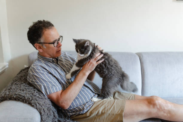 istock Mature man reading a book on a sofa 1265053691