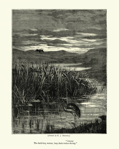 istock Marsh landscape, Victorian, Rushes, Crane, Bat, 19th Century 1265057027