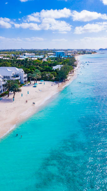 istock tropical beach aerial 1265058134