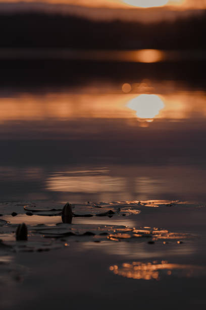 istock Sunset shots at the lake 1265061768