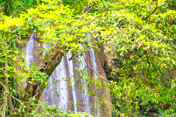 ruisseaux de chute d’eau coulant vers le bas de la cascade - erawan national park beauty in nature waterfall photos et images de collection