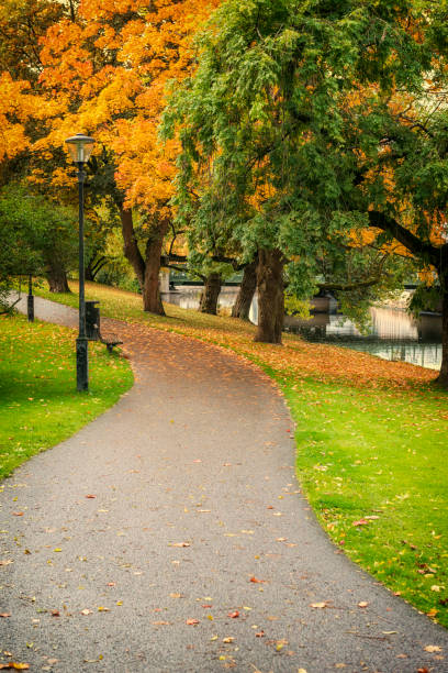 istock Footpath through Gothenburg city park 1265065112