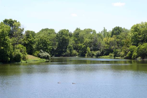 istock Peaceful Lake on a Summer Day 1265067836