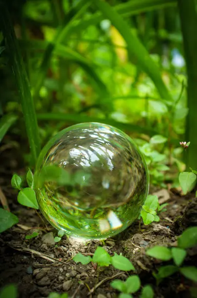 Fortune tellers magic glass crystal ball in nature