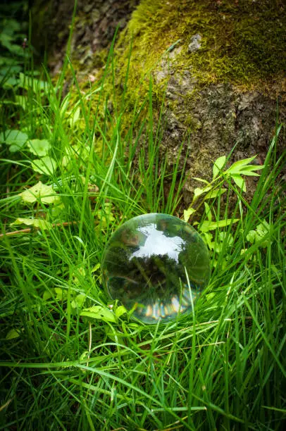 Fortune tellers magic glass crystal ball in nature