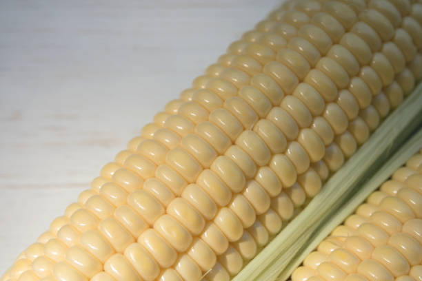 istock Ripe sweet corn on the cob on a white wooden background. 1265073262