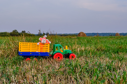 Toy tractor with a trailer and a funny toy monkey on real agricultural field