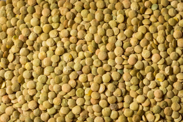 istock Dry Green Organic Lentils 1265074806