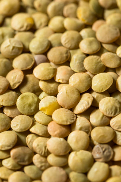 istock Dry Green Organic Lentils 1265074941