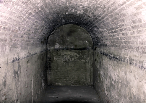 Tunnel to Nowhere - Nowhere to Go - Dead End - Running into a Stone Wall - Pick your poison.\nActually this is a dead end tunnel in the Castillo de San Marcos Fortress at St Augustine, Florida