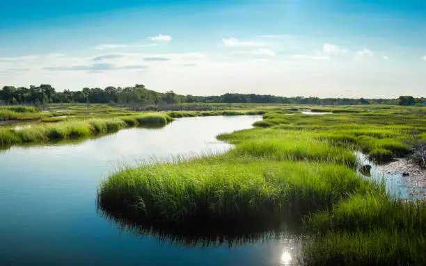 Photo of Winding River through green marshland. Blue water, cloudy blue sky and reflections of the sun.