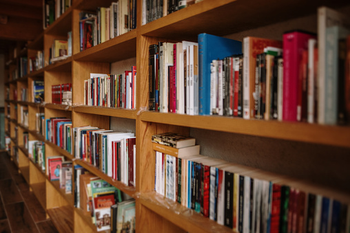 Wooden bookshelves filled with books