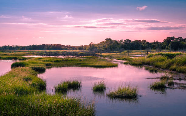 istock Twilight cloudscape over the flooded marsh at high tide on Cape Cod 1265078624