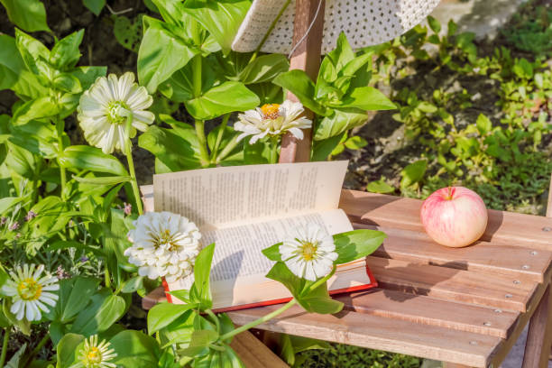 istock Apple, hat and book on a chair next to a flowerbed 1265078786