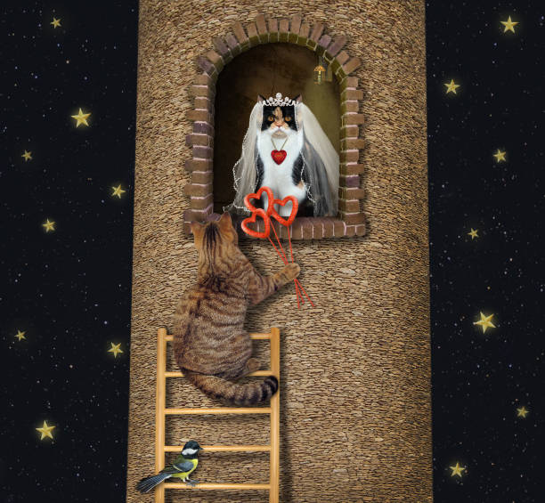 istock Cat climbs up to his bride at night 1265079027