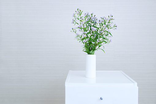 Field purple flowers in a white vase in the interior of the room on a white cabinet.