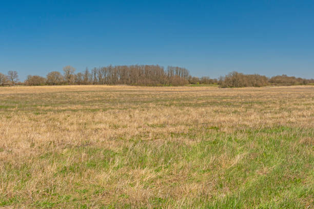 Tallgrass Prairie in Early Spring stock photo