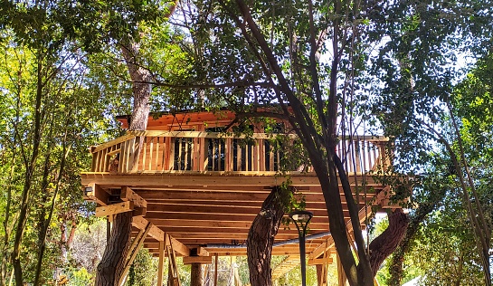 Experience the thrill of living in a wooden house in a tree