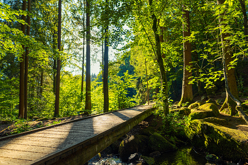 Wooden pedestrian bridge over small river in amazing beautiful forest on sunny summer day