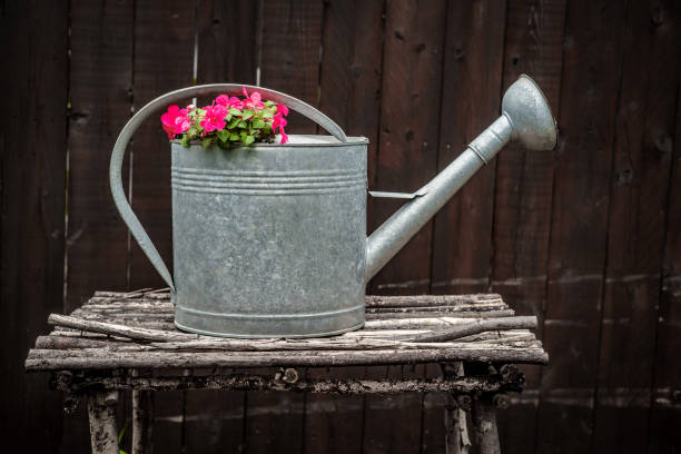 istock Flowers Antique Watering Can 1265084630