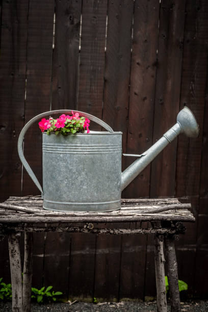 istock Flowers Antique Watering Can 1265084637