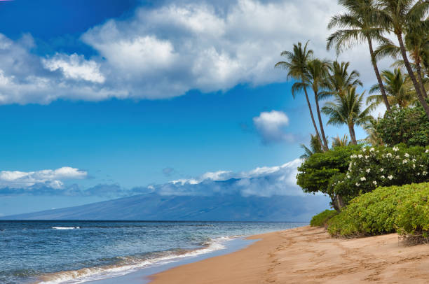 istock Horizontal view of deserted Ka'anapali beach during covid-19. 1265084845