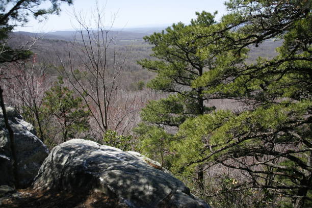 istock Shenandoah Valley on the Appalachian Trail 1265086974