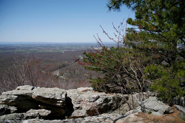 istock Shenandoah Valley on the Appalachian Trail 1265086979