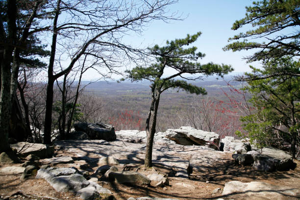 istock Shenandoah Valley on the Appalachian Trail 1265087024