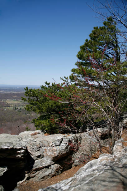 istock Shenandoah Valley on the Appalachian Trail 1265087080