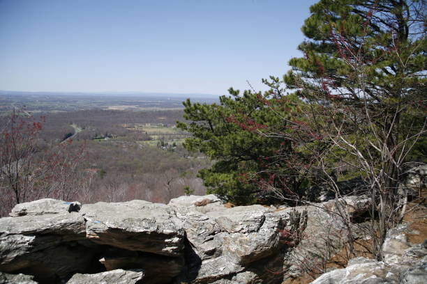istock Shenandoah Valley on the Appalachian Trail 1265087117