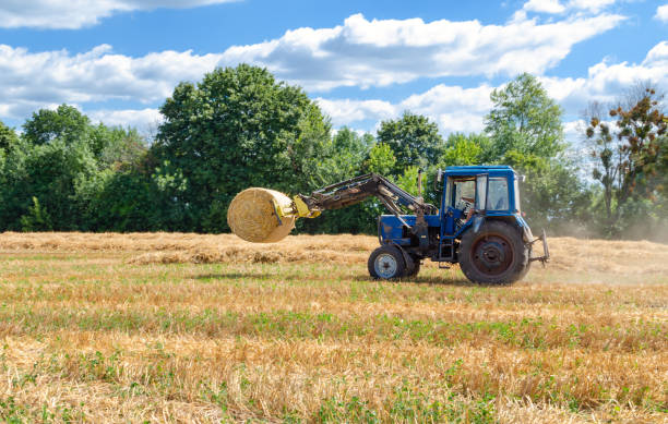 istock straw in round bales and a tractor in the field 1265087918