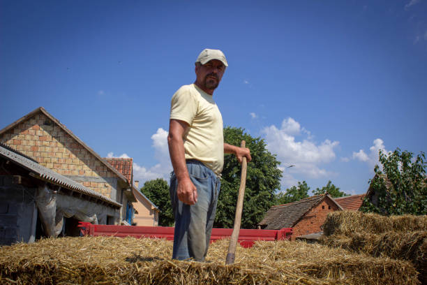 istock mature worker from village 1265089417