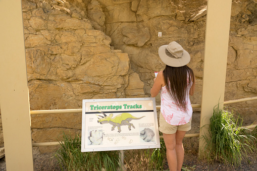 Standing near the sandstone rock face, a woman with a hat looks closely at a natural cast of a Triceratops dinosaur track made about 68 million years ago during the Late Cretaceous in Golden, Colorado’s Triceratops Trail July 14, 2020.