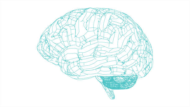 istock Polygonal doodle drawing of green brain illustration on white BG 1265095204