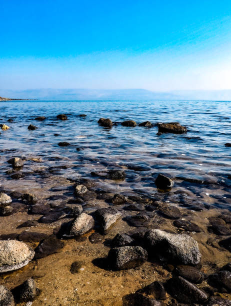 istock Tabgha Shoreline, Israel 1265095913