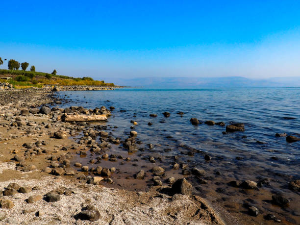 istock The Rocky Shoreline in Tabgha, Israel- Horizontal 1265095915
