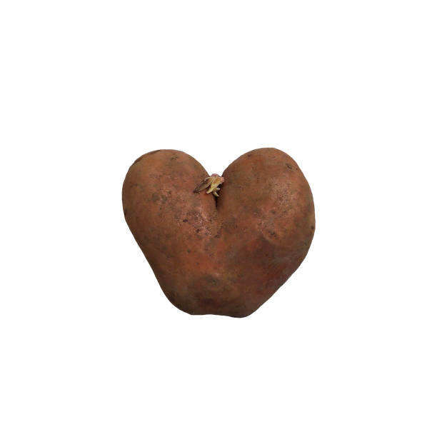 istock Heart-shaped Potato isolated on white background. Close up macro. 1265099370