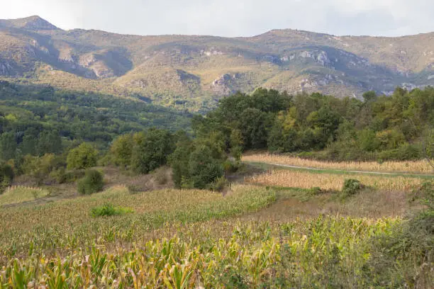 Photo of Panorama of mounts of the Suva planina, a chain of mountains and hills in Balkans, in Southeastern Serbia, with forests, hills and agricultural fields.