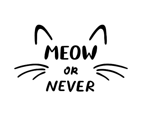 Meow or Never phrase and cat ears and whiskers. Cute cat poster with lettering. Vector illustration on white background