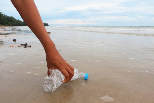 istock Hand of woman is picking an empty plastic bottle on the beach. 1265105758