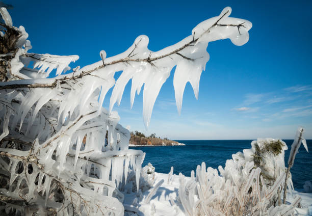 Frozen forest along Lake Superior in the winter after a 15 ft wave crashed into a cliff and the icy water instantly froze the vegetation, Tettegoche, MN, USA