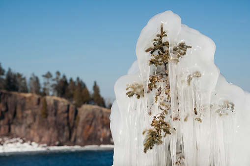 Frozen forest along Lake Superior in the winter after a 15 ft wave crashed into a cliff and the icy water instantly froze the vegetation, Tettegoche, MN, USA