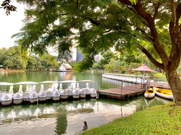 istock Sunrise at Lumpini Park 1265114941