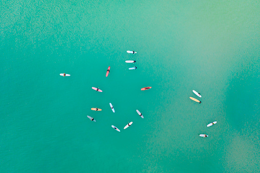 An aerial view of surfers sitting on their longboards while waiting for their next wave.