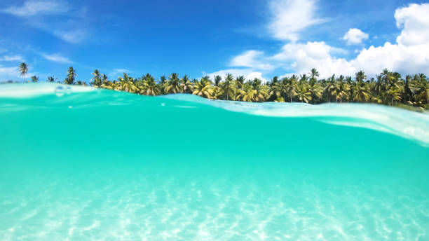 istock Half in half out crystal turquoise water of calm ocean surface 1265116072